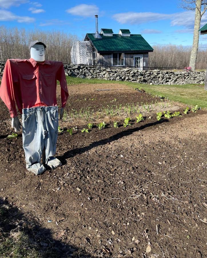 Blueberry Fields Bed & Breakfast Jefferson 外观 照片