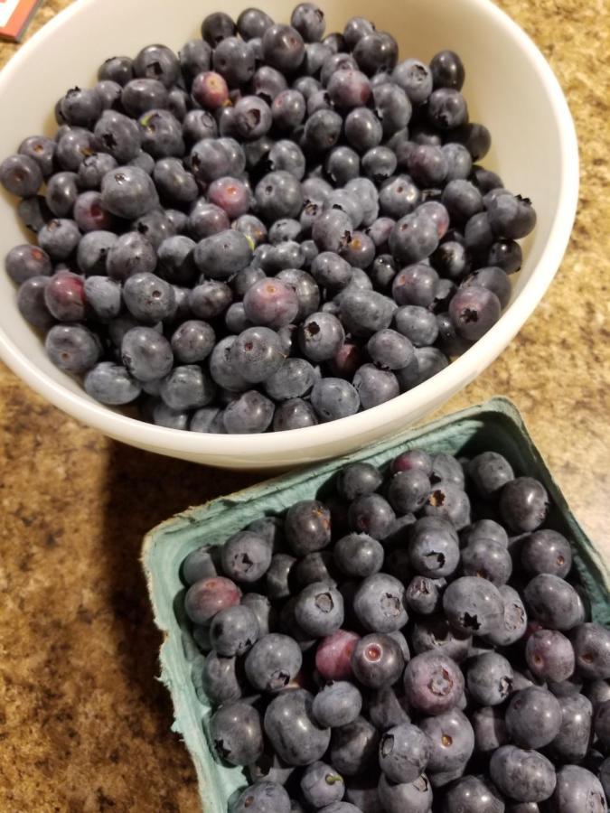 Blueberry Fields Bed & Breakfast Jefferson 外观 照片